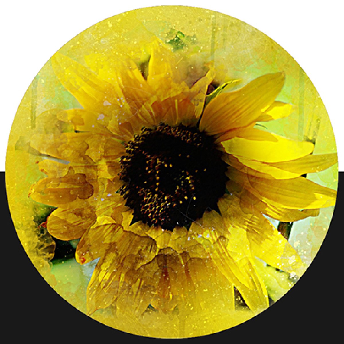 Botanicasl Art Competition