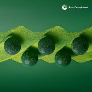 Green Concept Award 2025