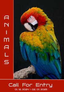 International Art Competition Animals