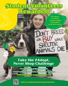 The Adopt, Never Shop Student Challenge by Youth4Animals.org